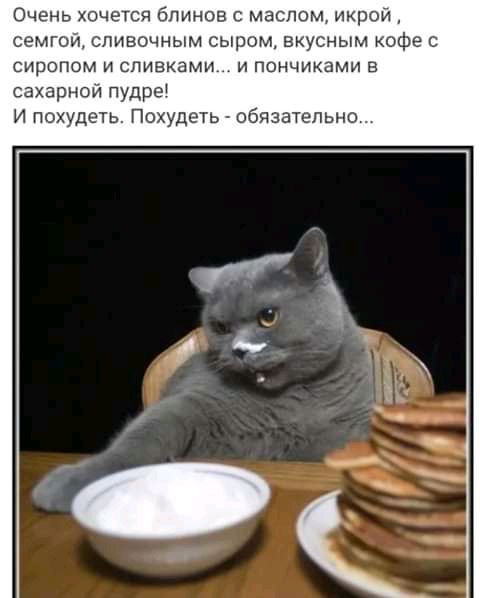 Очень хочется блинов с маслом икрой семгой сливочным сыром вкусным оф СИРОПОМ И СЛИВКЗМИ И ПОНЧИКЗМИ В сахарной пудре И похудеть Похудеть обязательно