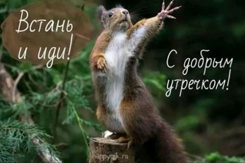 жуТУЩКОМ