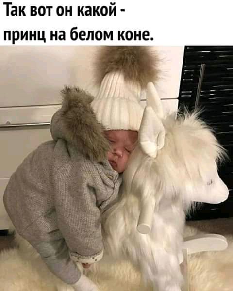 Так вот он какой принц на белом коне