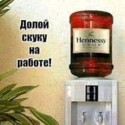 ШШШ ив штаты