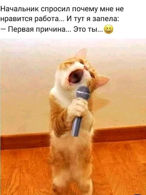 Начальник СПРОСИП ПОЧЕМУ мне не нравится работа И тут я запела Первая причина Это ты