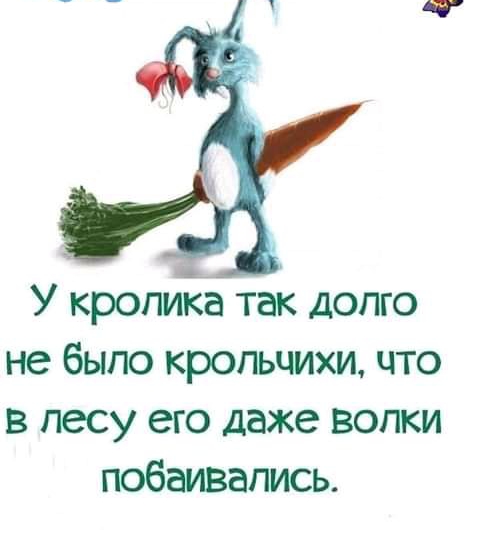 У кролика так долго не было крольчихи что в лесу его даже волки побаивались