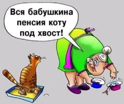 Вся бабушкина пенсия коту под хвост