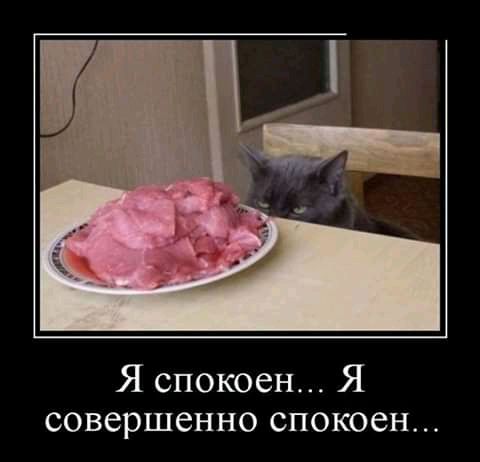 Я спокоен Я совершенно спокоен