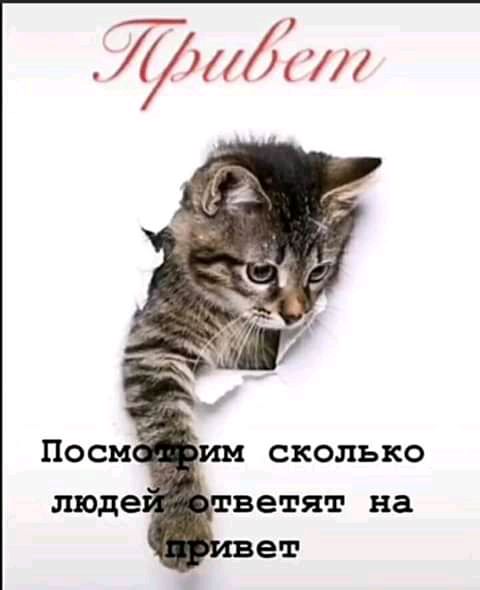 ТіИЁШ