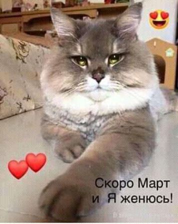рБ Март женюсь