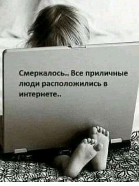 Смерквлосы Все приличные люди расположились в шипит