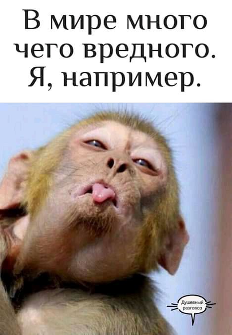 В мире много чего вредного Я например