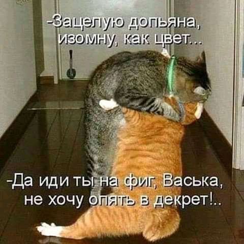Зп_ іэг ую изомъ уг _