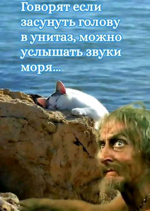 Говорят еслйи зарунуть г_олову в унитаз можно услышать звуки моря Ъ