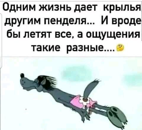 Одним жизнь дает крылья другим пенделя И вроде бы летят все а ощущения такие разные