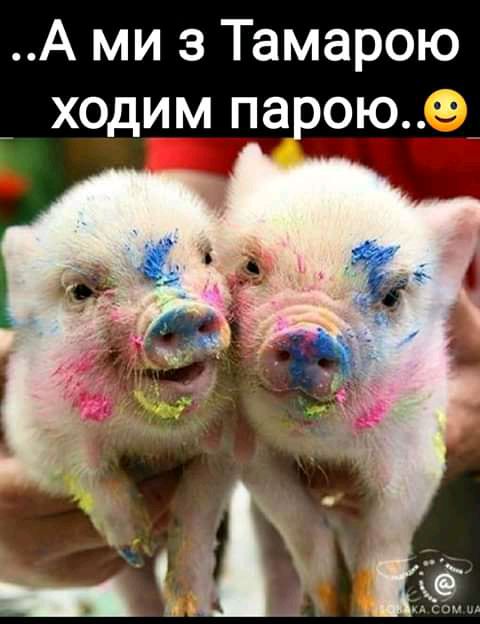 А ми з Тамарою ходим парою