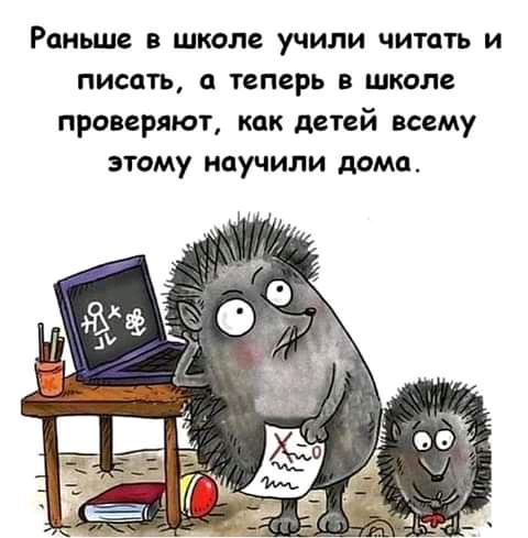 Раньше в школе учили читать и писать а теперь в школе проверяют как детей всему этому научили дома