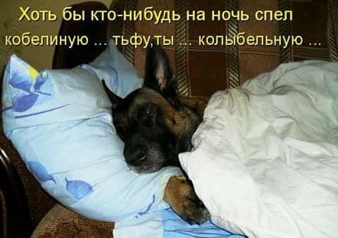бы кго нхібудь на ночь спел кобепиную тьфуты копвібепьную