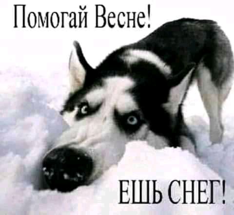Помогай Весне ЕШЬ СНЕГ