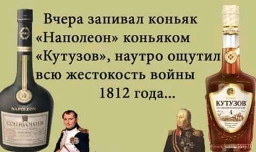 _ Вчера запивая коньяк Наполеон коньяком Кутузов наутро ощутил всю жестокость войны 1812 года мтз юн дд