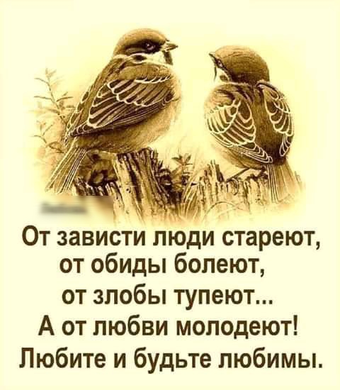 От зависти люди стареют от обиды болеют от злобы тупеют А от любви молодеют Любите и будьте любимы