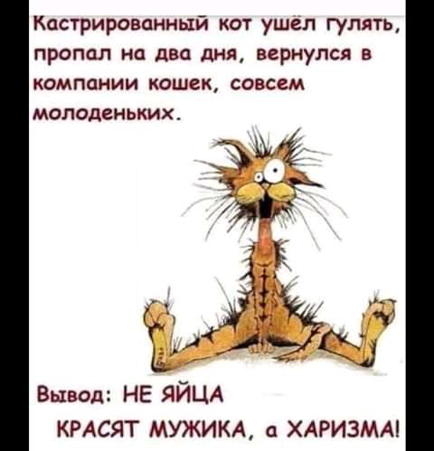 Кастрированный кот ушел гулять пропал на два дня вернулся в компании кошек совсем молоденьких Вывод не яйцд кмсят мужим ХАРИЗМА
