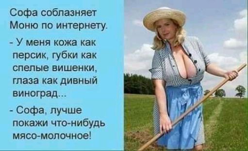 Софа соблазняет Моню по интернету У меня кожа как персик губки как спелые вишенки глаза как дивный виноград Софа лучше покажи что нибудь мясомолочное