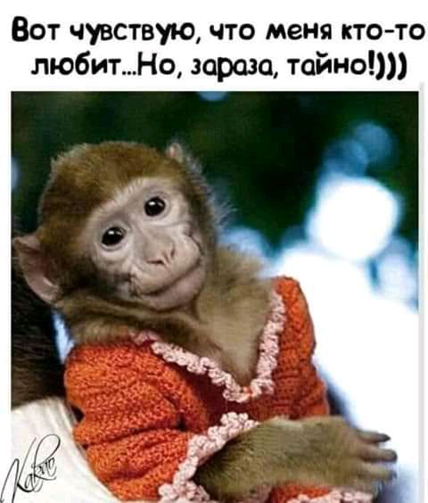 Вот чувствую что меня кто то любитНо зараза тайны
