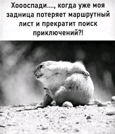 Хоооспади когда уже моя задница потеряет маршрутный лист и прекратит поиск приключений