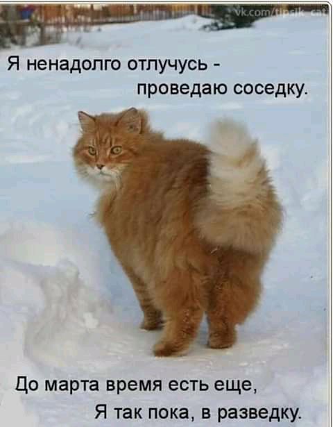 Я ненадолго отпучусь проведаю соседку Цо марта время есть еще Я так пока в разведку