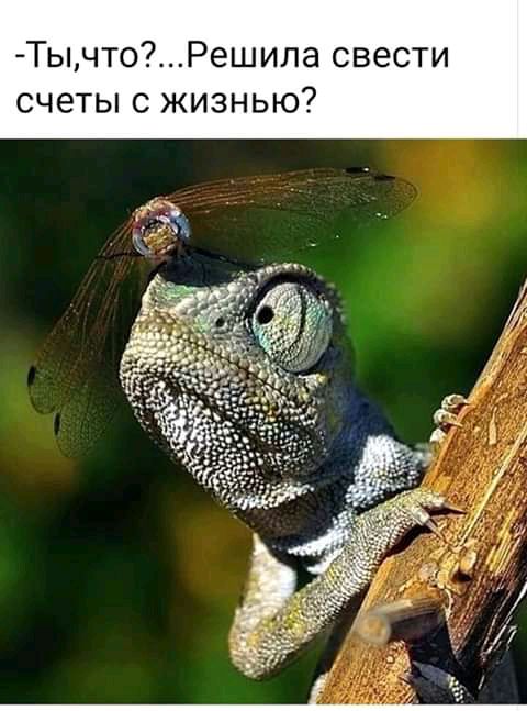 ТычтоРешила свести счеты с жизнью