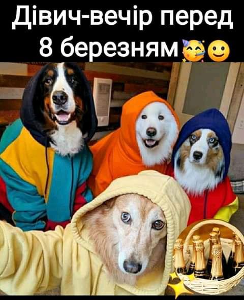 Дівич вечір перед 8 березням 73