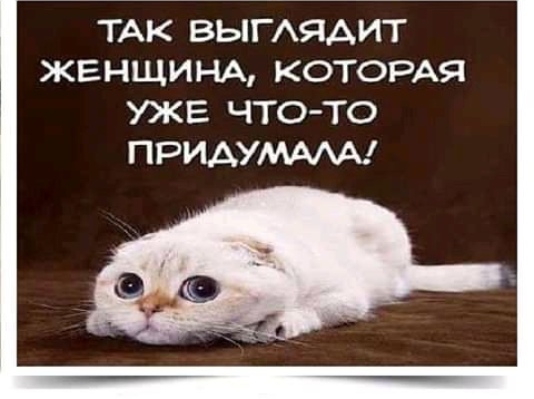 ТАК вымядит ЖЕНЩИНА КОТОРАЯ уже чтото придумдми