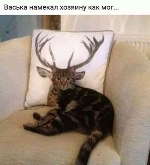 ВЗСЬКЕ НЗМЕКЗЛ ХОЗЯИНУ как МОГ