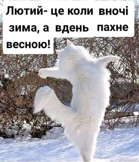 Лютий це коли вночі зима а вдень пахне