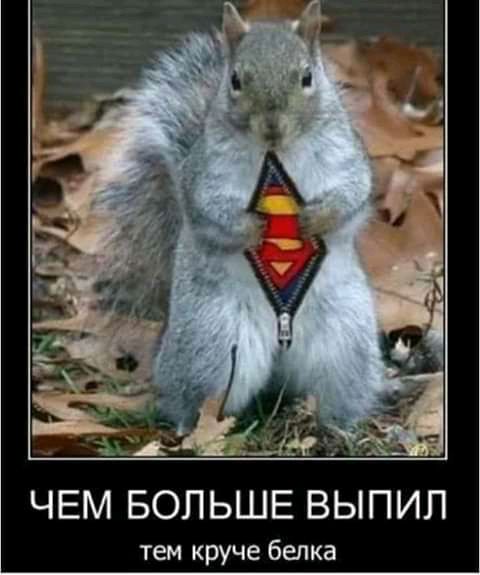 ЧЕМ БОЛЬШЕ ВЫПИП тем круче белка