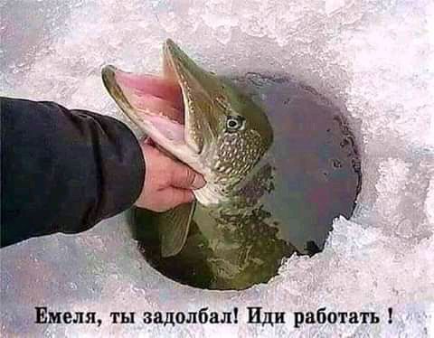 Емеля ты задолбал Иди работать