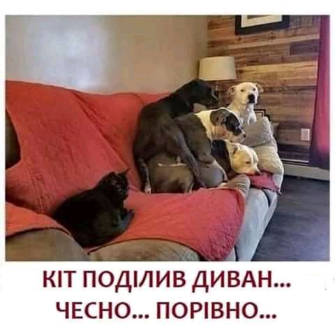 КТ ПОДИИВ ДИВАН ЧЕСНО П0РВНО
