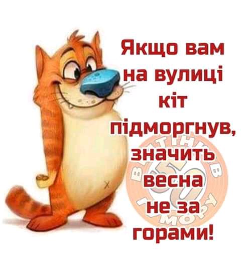 Якщо вам на вулиці кіт підморгнув значить весЮ несза гораМи