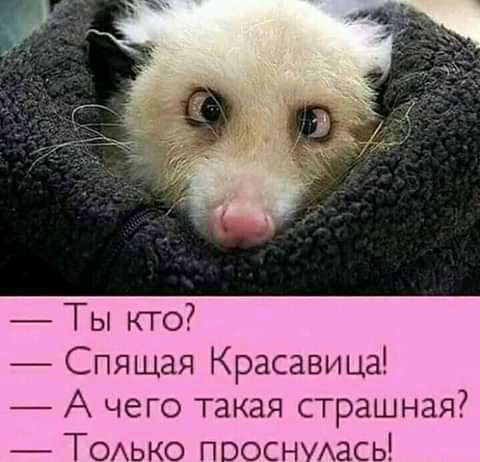 Ты кто Спящая Красавица А чего такая страшная ТОАько пооснмась