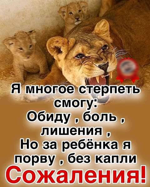 смогу Обиду боль лишения Но за ребёнка я порву без капли