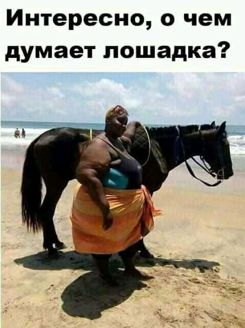 Интересно о чем думает лошадка
