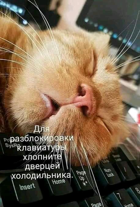 поди ни 156 ка