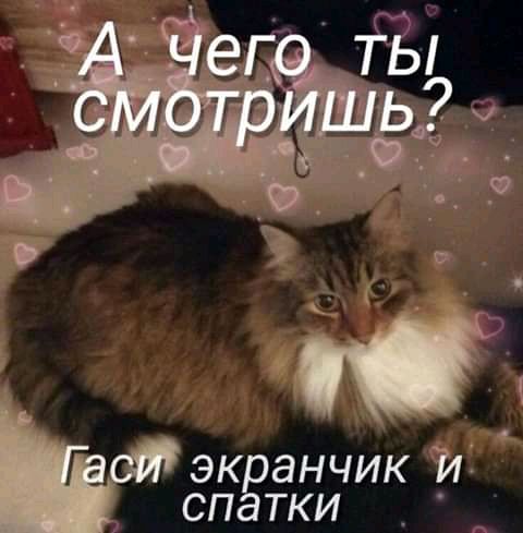 эк анчик сп тки
