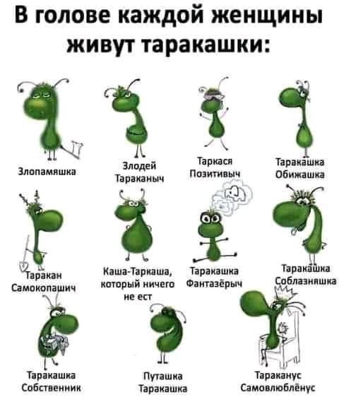 В голове каждой женщины ЖИВУТ таракашки Тарка танками и 1323 шт Обиипшп Ё ЖЗ і г Кашн Ъппшя Тівпзшка та и пишиш птпрні иидгп Фіт3ёрыч Блізипшп И Г ш ТРМШП птшка япэпиус сайт тншш ама пт