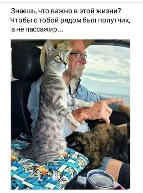 Знаешь что важно в этой жизни Чтобы стобой рядом был попутчик а не пассажир