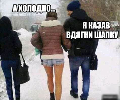 п ниш вдягии шипит