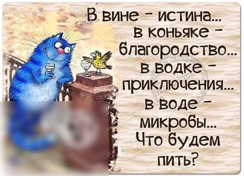 в коньяке благородство в водке в воде микробы Что будем пить ___