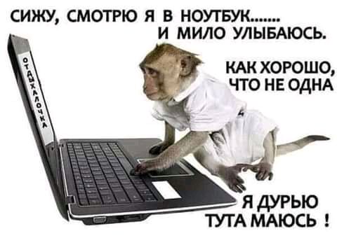 СИЖУ СМОТРЮ Я В НОУТБУК И МИЛО УЛЫБАЮСЬ КАКХОРОШО ЧТО НЕ ОДНА ТУГА МАЮСЬ