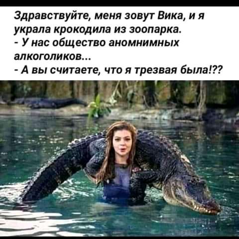 Здравствуйте меня зовут Вика и я украла крокодила из зоопарка У нас общество аномнимных алкоголиков А вы считаете что трезвая была