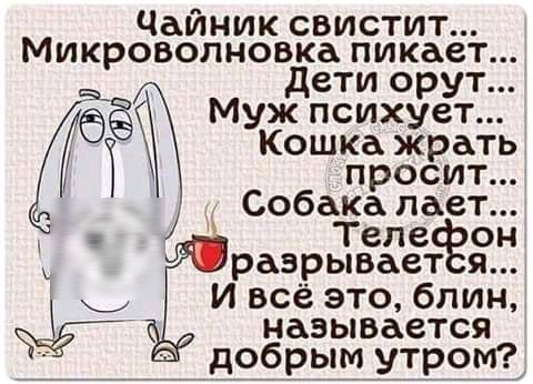 Чайник свистит Микроволновка пикает М дети орут ж псих ет дбё УКошка грать Ё просит Собака лает Теле он разрывает я И всё это блин ф называется добрым утром