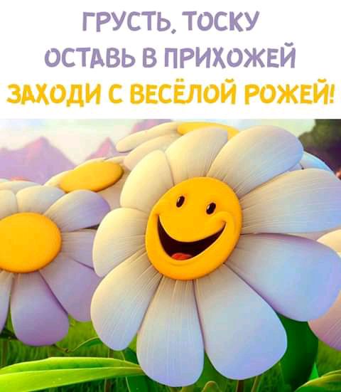 змоди с весёлой рожей ТЧ