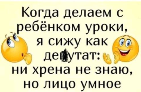 Когда делаем с ребёнком уроки я сижу как депутат ни хрена не знаю но лицо умное
