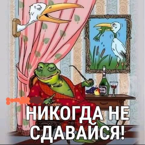 міког сдАВАися